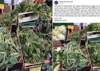 পুইশাক নিয়ে সুইজারল্যান্ড প্রবাসীর আবেগি স্ট্যাটাস