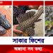 সাকার ফিশকে শ’য়তান মাছ বলা হয় কেন?