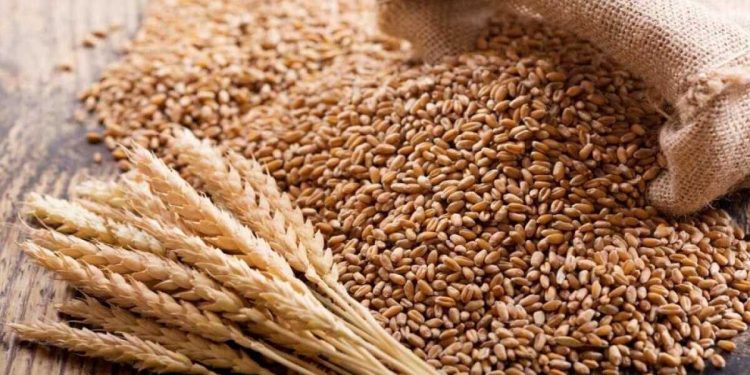 দুবাই থেকে ৫০ হাজার টন গম আমদানি
