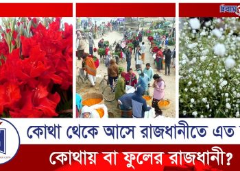ফুলের রাজধানী যশোরের গদখালী