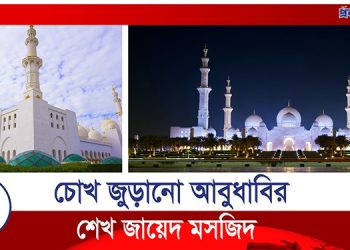 চোখ জুড়ানো আবুধাবির শেখ জায়েদ মসজিদ (ভিডিও)