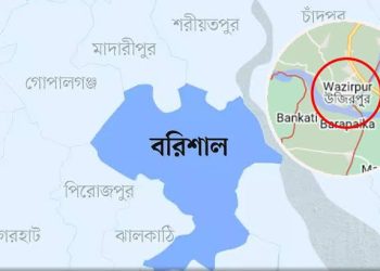 বাসের ধাক্কায় প্রবাসী নিহত