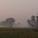 ২-৪ ডিগ্রি কমতে পারে তাপমাত্রা
