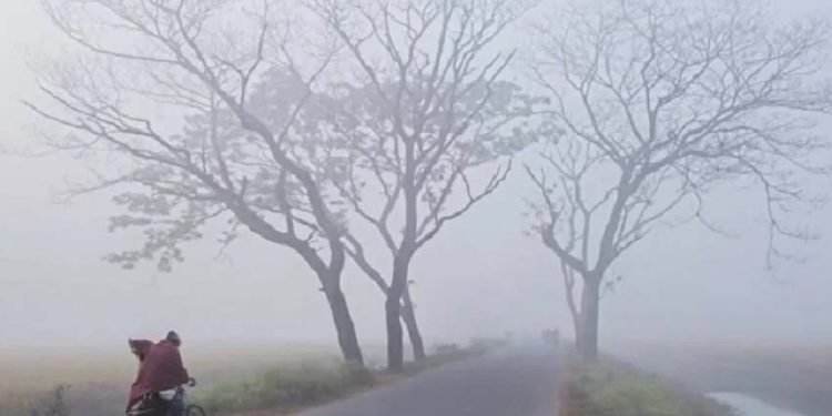 শীতে কাঁপছে কুড়িগ্রাম, তাপমাত্রা ১০ দশমিক ১ ডিগ্রি