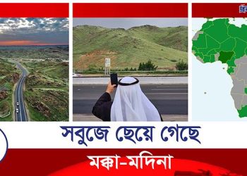 সবুজে ছেয়ে যাচ্ছে সৌদি আরব