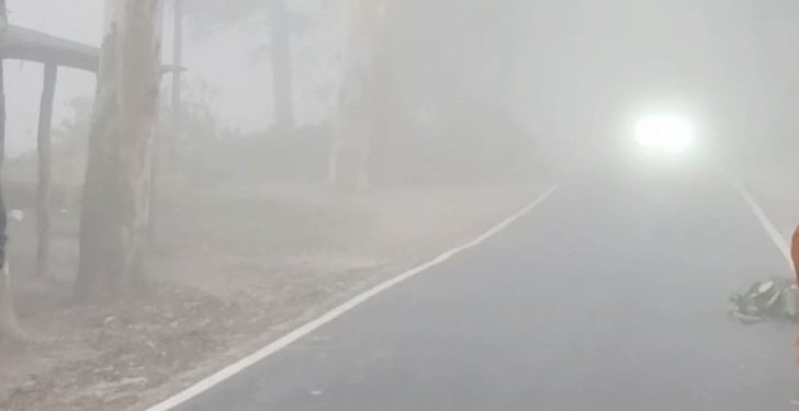 কমছে শৈত্যপ্রবাহের এলাকা