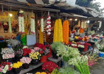 বসন্ত ও ভালোবাসা দিবস ঘিরে জমজমাট ফুলের বাজার