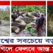 সন্ধান মিলল বিশ্বের সবচেয়ে বড় সাপের