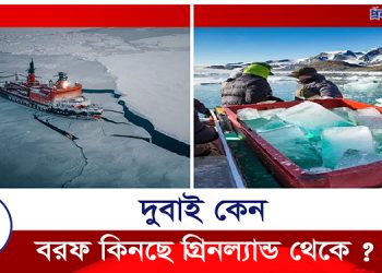 কেন গ্রিনল্যান্ড থেকে বরফ কিনছে দুবাই?