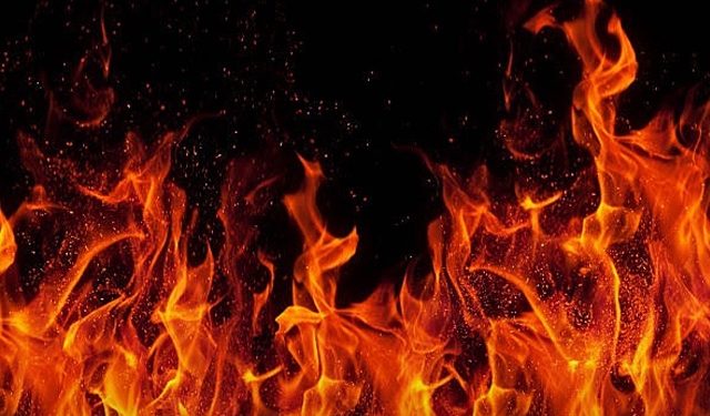 এবার ওয়ারীতে রেস্টুরেন্টে আগুন