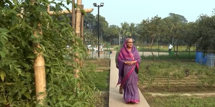 কৃষক লীগ নেতাদের গণভবনে উৎপাদিত শাক-সবজি উপহার শেখ হাসিনার