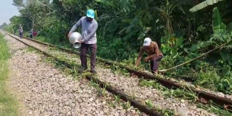 তীব্র গরমে বেঁকে গেছে রেললাইন