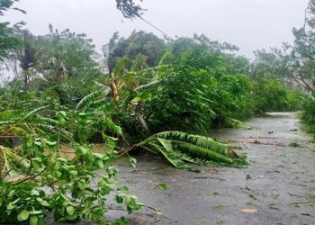 যে সব এলাকায় মিনিট ও ডাটা ফ্রি দিচ্ছে গ্রামীণফোন