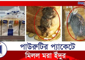 পাউরুটিতে মিলল মরা ইঁদুর