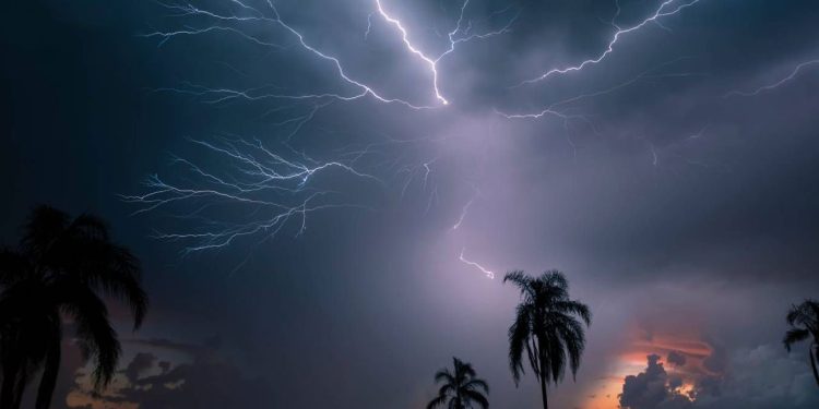 মাঠে গরু চরাতে গিয়ে বজ্রপাতে প্রবাসীর মৃত্যু