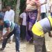কেটে ফেলা হলো ‘কথা বলা’ সেই গাছ