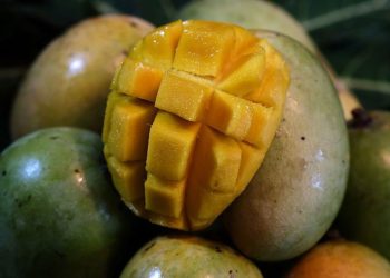 ডায়াবেটিস রোগীরা কতটুকু আম খেতে পারবে