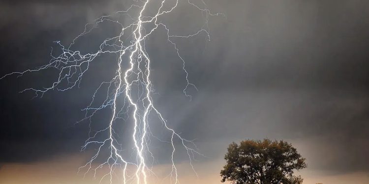 বজ্রপাতে নারীসহ ৪ জনের মৃত্যু