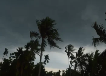 রাতেই যেসব জেলায় ঝড়ের শঙ্কা