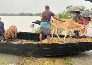 পানিবন্দি সিলেটের পৌনে সাত লাখ মানুষ