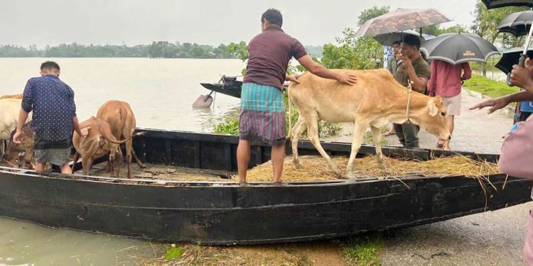 পানিবন্দি সিলেটের পৌনে সাত লাখ মানুষ