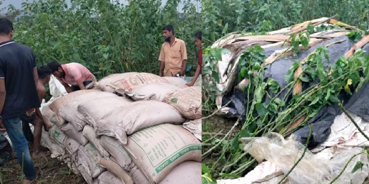 কবরস্থান থেকে ১০০ বস্তা চিনি উদ্ধার