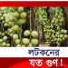 ভরা মৌসুমেও লটকনের কেন এত দাম!
