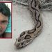 কামড় দিল রাসেলস ভাইপার, সাপ নিয়েই হাসপাতালে কৃষক