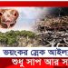ভয়ংকর স্নেক আইল্যান্ডে, যেখানে শুধুই সাপের রাজত্ব