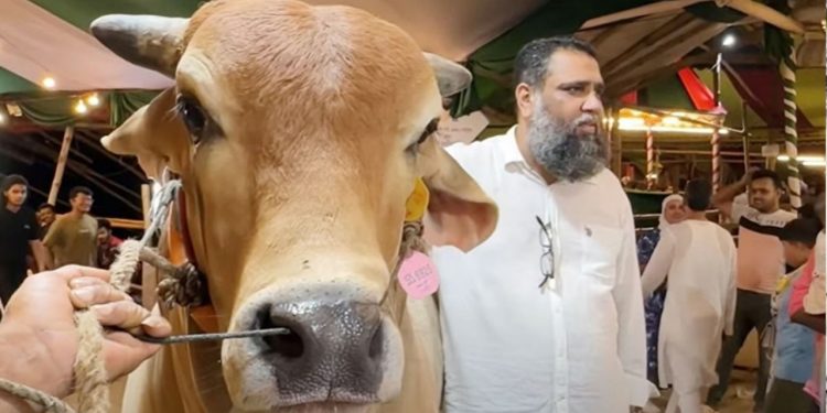 ভ্যাট ফাঁকি দিতে ১০ কোটি টাকার তথ্য গোপন করে সাদিক অ্যাগ্রো