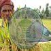 bdnews bangla