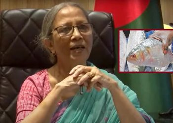 আমরাও দুর্গোৎসব করি, ভারত নয় ইলিশ খাবে বাংলাদেশিরা