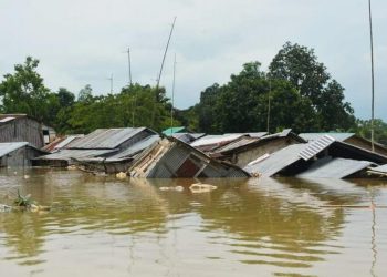 বন্যা দুর্গতদের জন্য ২০ কোটির বেশি ত্রাণ সংগ্রহ বিএনপির