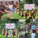bdnewes bangla