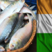 ভারতে ইলিশ রপ্তানি বন্ধে সরকারকে আইনি নোটিশ