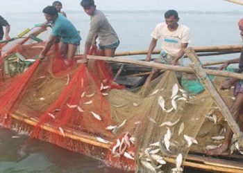 পদ্মা-মেঘনায় ইলিশ ধরায় ২২ দিনের নিষেধাজ্ঞা শুরু
