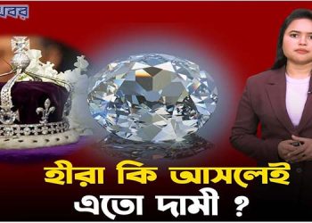 হীরা কি আসলেই এত দামী, নাকি সবই ধোঁকাবাজি?