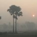 পঞ্চগড়ে দরজায় কড়া নাড়ছে শীত