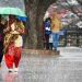 bd news bangla