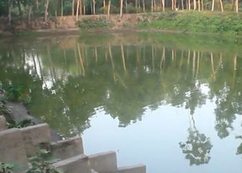 bdnewes bangla