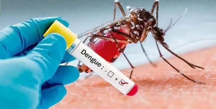 ডেঙ্গুতে এক সপ্তাহে ৪৭ জনের মৃত্যু
