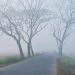 বাড়ছে শীত; আজ সর্বনিম্ন তাপমাত্রা ১৪ ডিগ্রি