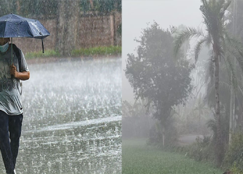 কুয়াশা ও বৃষ্টি নিয়ে যে বার্তা দিল আবহাওয়া অফিস
