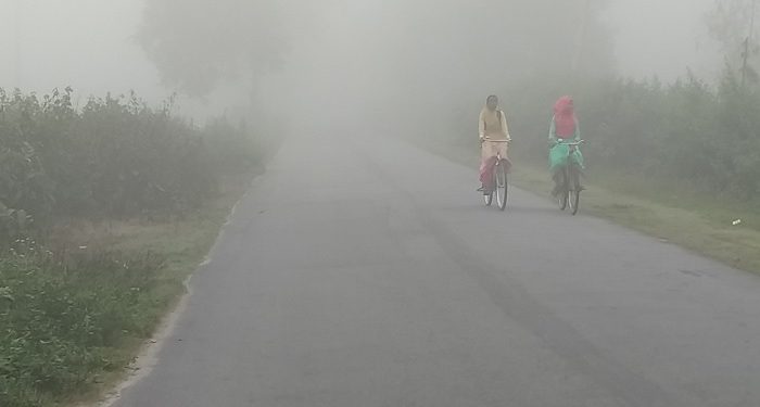 bdnewes bangla