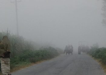 bdnewes bangla