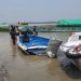 bdnewes bangla