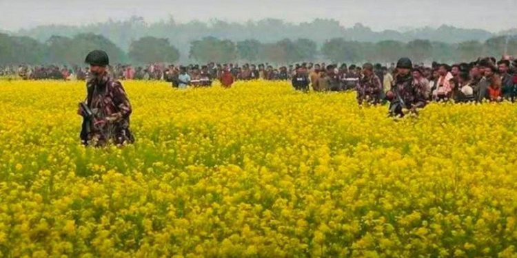বিজিবির বাধায় সীমান্তে বেড়া নির্মাণ বন্ধ রাখার সিদ্ধান্ত বিএসএফের