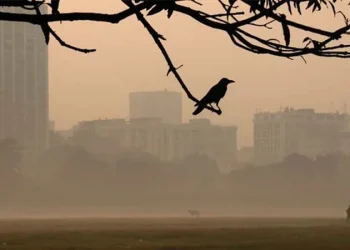 রাজধানীতে ঘন কুয়াশায় জেঁকে বসেছে শীত, থাকবে কতদিন?