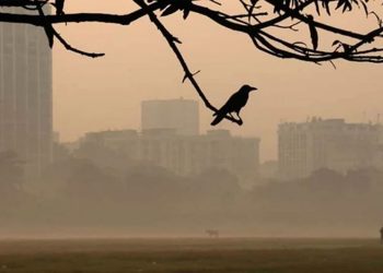 ঢাকাসহ সারাদেশে শীত আরও বাড়বে জানালো আবহাওয়া অফিস