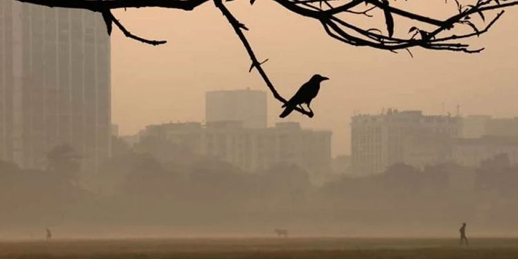 ঢাকাসহ সারাদেশে শীত আরও বাড়বে জানালো আবহাওয়া অফিস